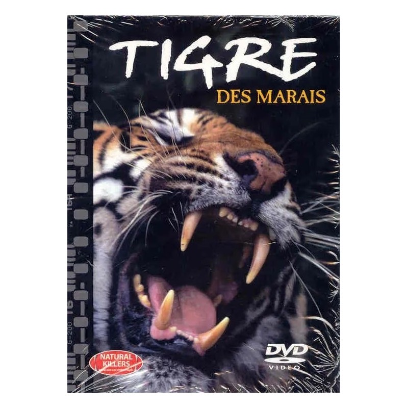 TITRE FICHE VIERGE CRÉATION dvd 0.079 g