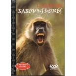 TITRE FICHE VIERGE CRÉATION dvd 0.079 g