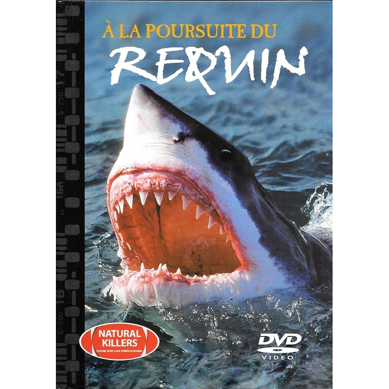 TITRE FICHE VIERGE CRÉATION dvd 0.079 g