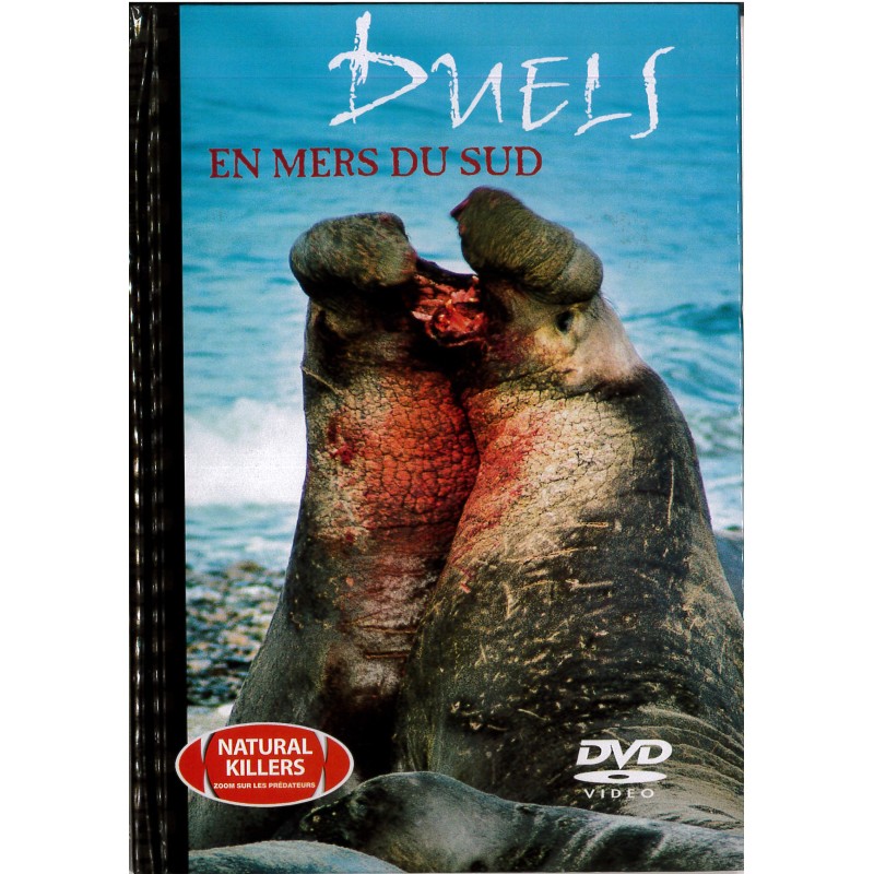 TITRE FICHE VIERGE CRÉATION dvd 0.079 g