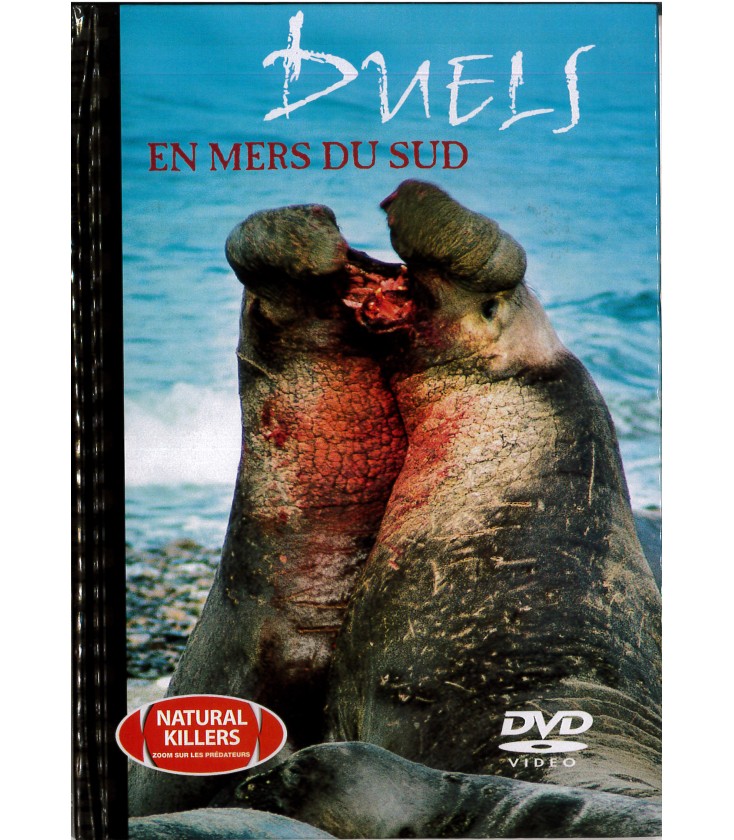 TITRE FICHE VIERGE CRÉATION dvd 0.079 g