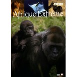 TITRE FICHE VIERGE CRÉATION dvd 0.079 g