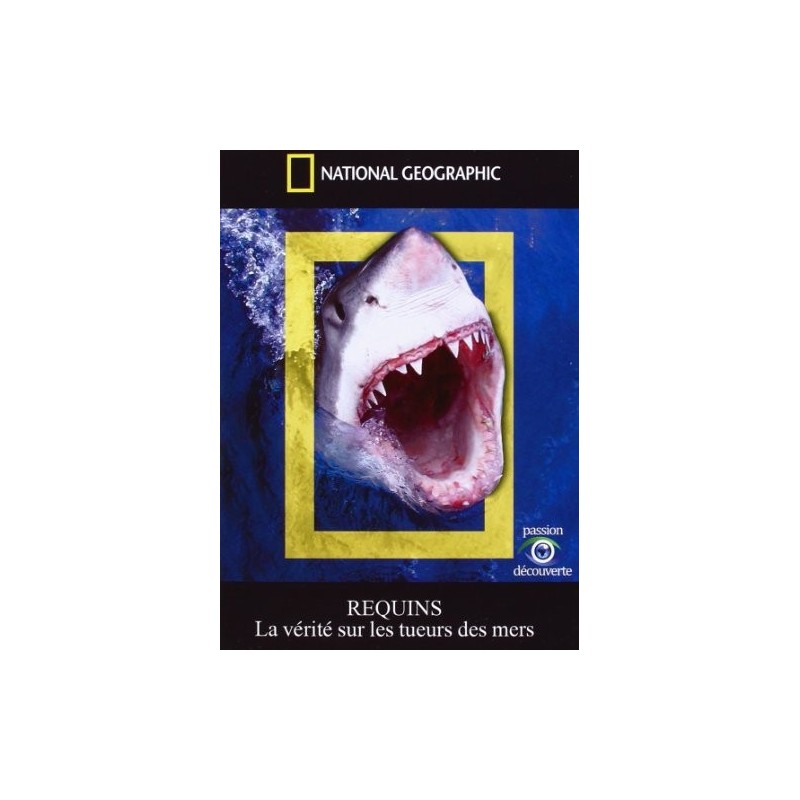 TITRE FICHE VIERGE CRÉATION dvd 0.079 g