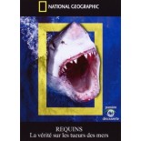 TITRE FICHE VIERGE CRÉATION dvd 0.079 g