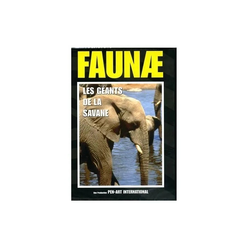 TITRE FICHE VIERGE CRÉATION dvd 0.079 g