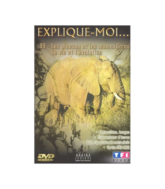 TITRE FICHE VIERGE CRÉATION dvd 0.079 g