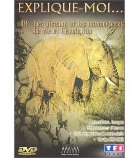 TITRE FICHE VIERGE CRÉATION dvd 0.079 g