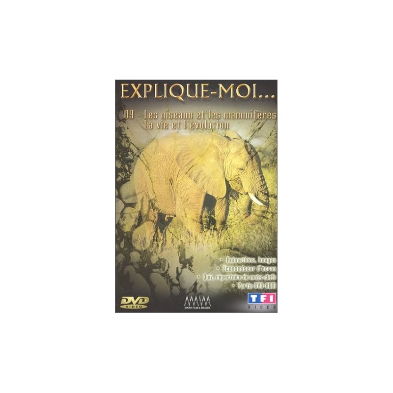 TITRE FICHE VIERGE CRÉATION dvd 0.079 g