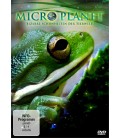 TITRE FICHE VIERGE CRÉATION dvd 0.079 g
