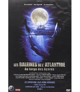 TITRE FICHE VIERGE CRÉATION dvd 0.079 g