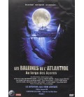 Les Baleines de l'Atlantique, Au Large des Açores