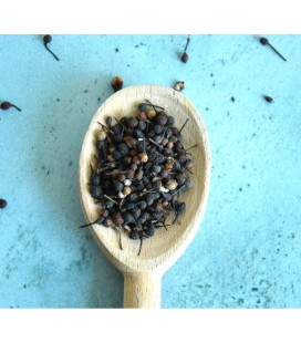 Thé Earl Grey Thé Darjeeling bio et équitable