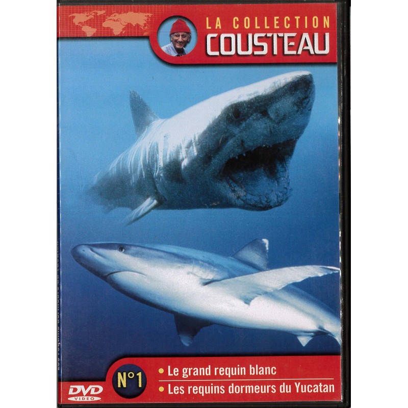 TITRE FICHE VIERGE CRÉATION dvd 0.079 g