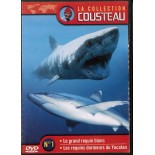 TITRE FICHE VIERGE CRÉATION dvd 0.079 g