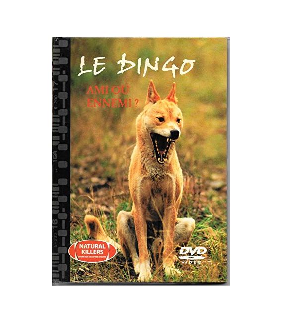  Le dingo: ami ou ennemi? n°16 - Killers, Natural (occasion)
