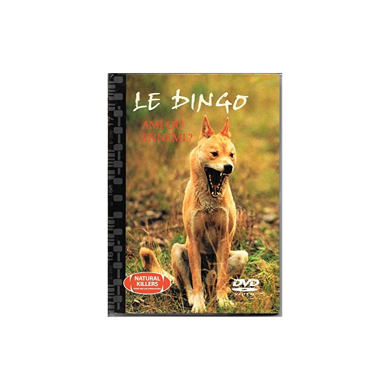 TITRE FICHE VIERGE CRÉATION dvd 0.079 g