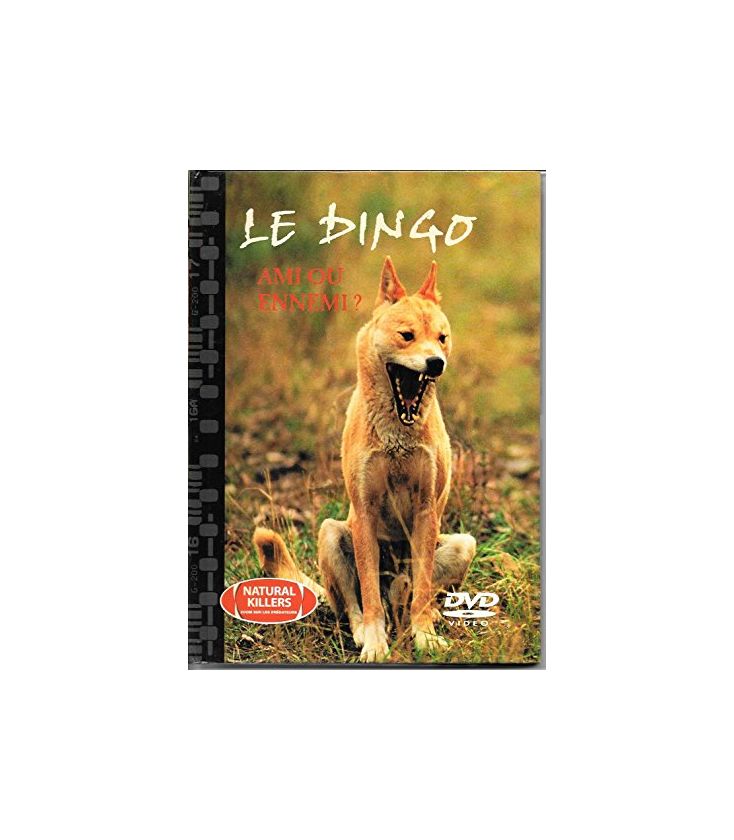  Le dingo: ami ou ennemi? n°16 - Killers, Natural (occasion)