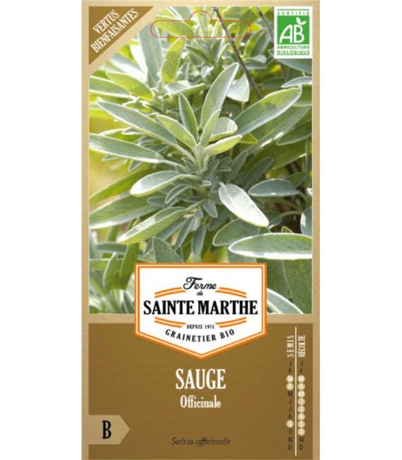 SAUGE Officinale AB - Semences reproductibles bio