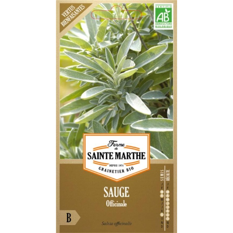 Pois Nain Mange tout - Semences reproductibles bio