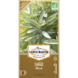 Pois Nain Mange tout - Semences reproductibles bio