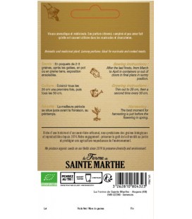 SAUGE Officinale AB - Semences reproductibles bio