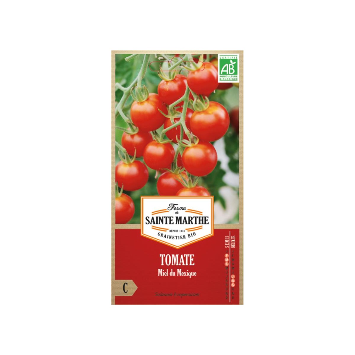 Graines Tomate cerise miel du Mexique bio - Ferme de Sainte Marthe