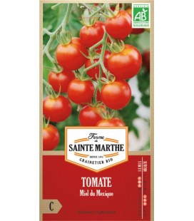 TOMATE Miel du Mexique AB - Semences reproductibles bio