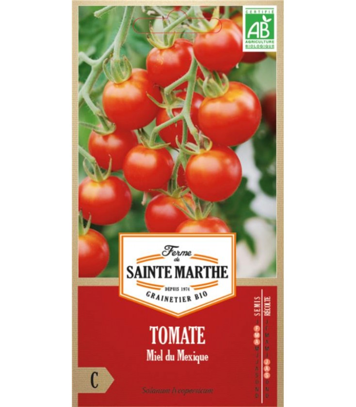 TOMATE Miel du Mexique AB - Semences reproductibles bio