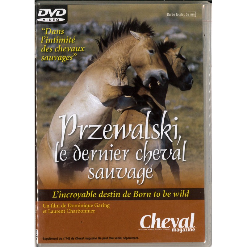 TITRE FICHE VIERGE CRÉATION dvd 0.079 g