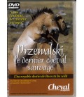Przewalski le Dernier Cheval Sauvage (occasion)