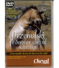 TITRE FICHE VIERGE CRÉATION dvd 0.079 g