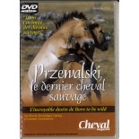 TITRE FICHE VIERGE CRÉATION dvd 0.079 g