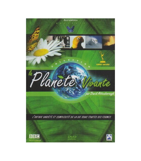 TITRE FICHE VIERGE CRÉATION dvd 0.079 g