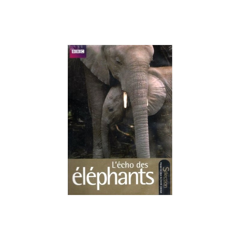 TITRE FICHE VIERGE CRÉATION dvd 0.079 g