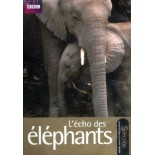 TITRE FICHE VIERGE CRÉATION dvd 0.079 g