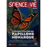 TITRE FICHE VIERGE CRÉATION dvd 0.079 g