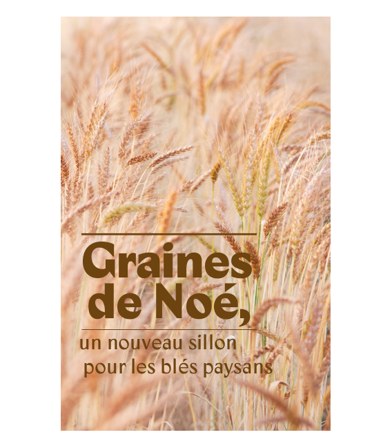 Graines de Noé, Un nouveau sillon pour les blés paysans