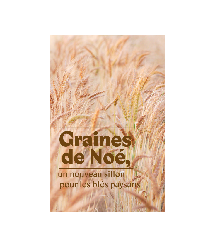 Graines de Noé, Un nouveau sillon pour les blés paysans