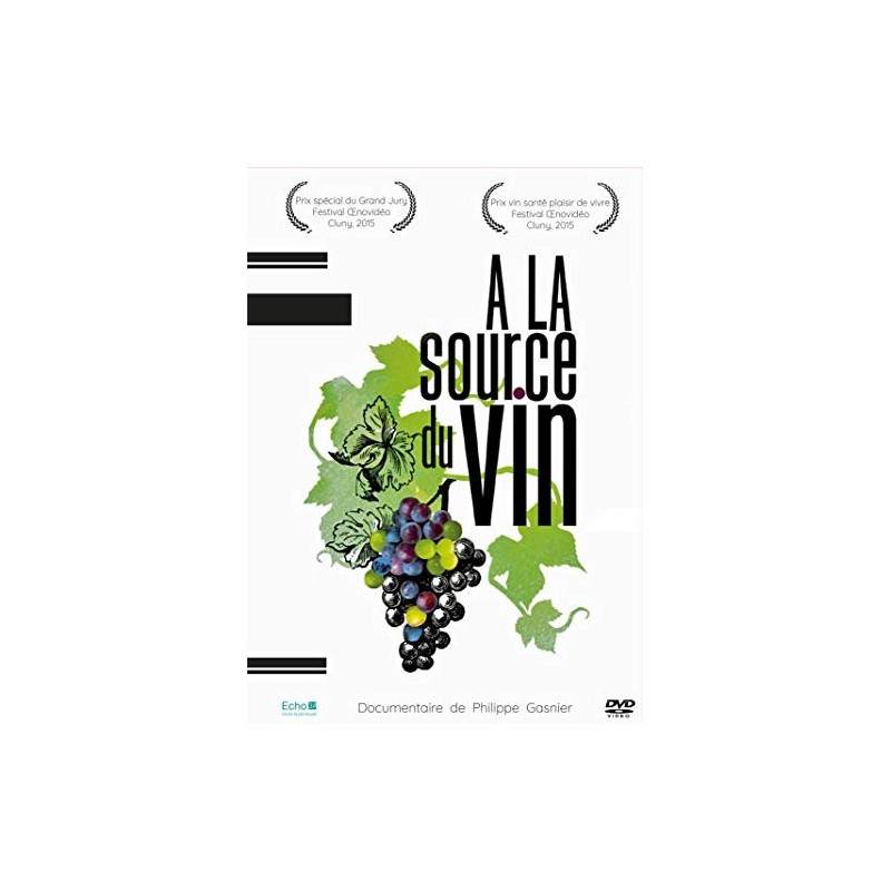 TITRE FICHE VIERGE CRÉATION dvd 0.079 g