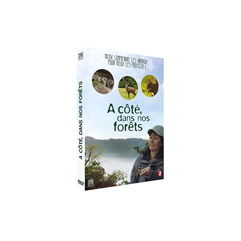 TITRE FICHE VIERGE CRÉATION dvd 0.079 g