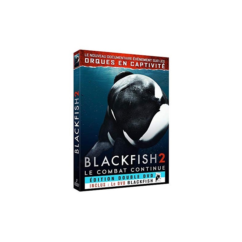 TITRE FICHE VIERGE CRÉATION dvd 0.079 g