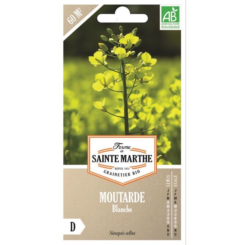 Moutarde Blanche - Semences reproductibles bio