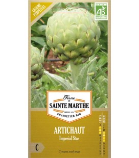 Artichaut Imperial Star AB - Semences reproductibles bio