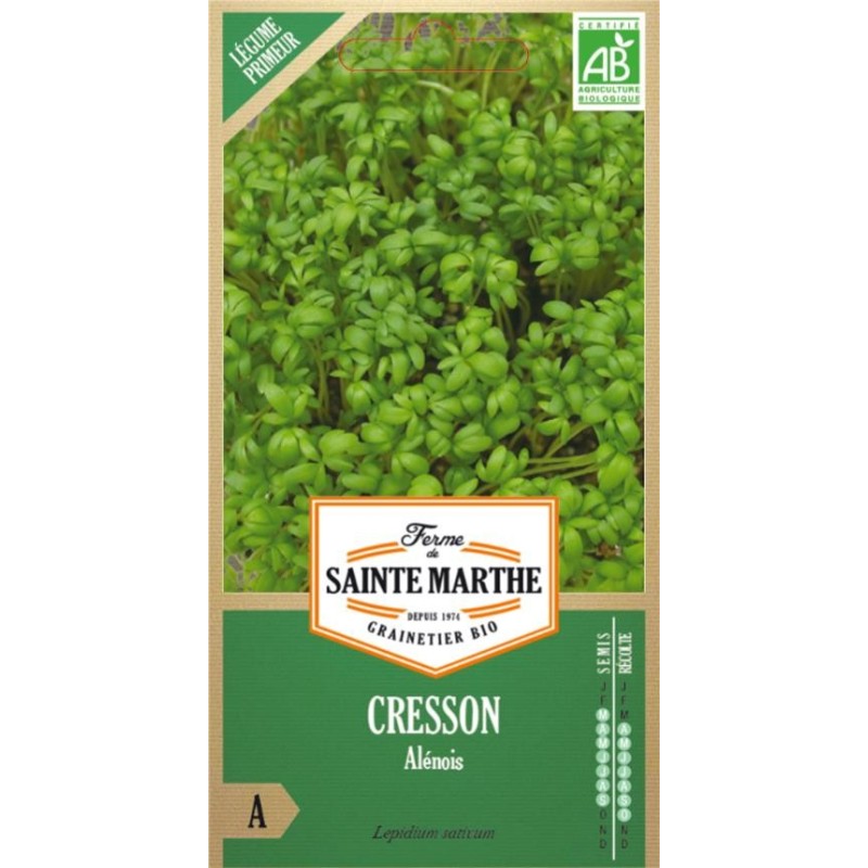 Cresson Alénois Frisé AB  - Semences reproductibles bio
