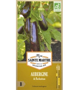 AUBERGINE de Barbentane AB - Semences reproductibles bio