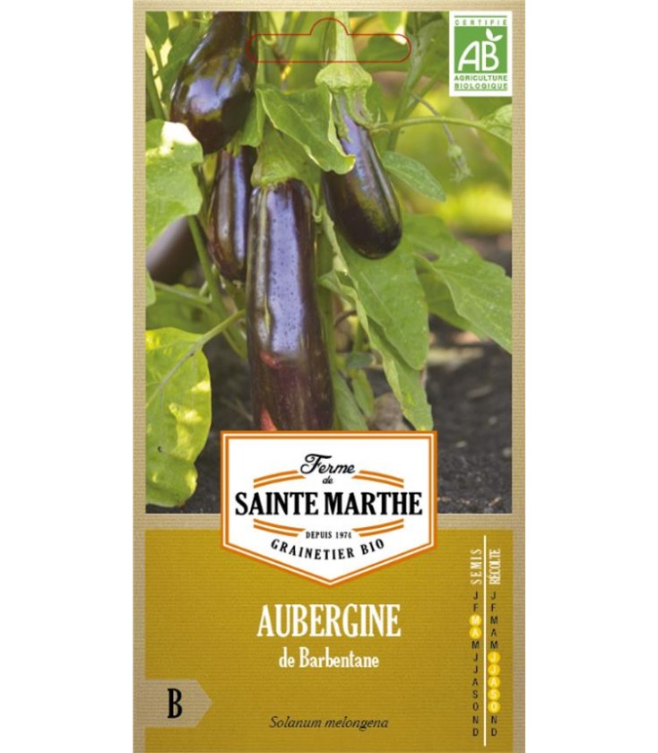 AUBERGINE de Barbentane AB - Semences reproductibles bio