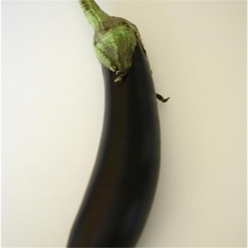 TOMATE Noire de Crimée AB  - Semences reproductibles bio