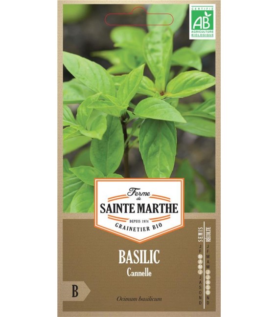 BASILIC Cannelle AB - Semences reproductibles bio