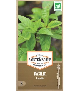 BASILIC Cannelle AB - Semences reproductibles bio