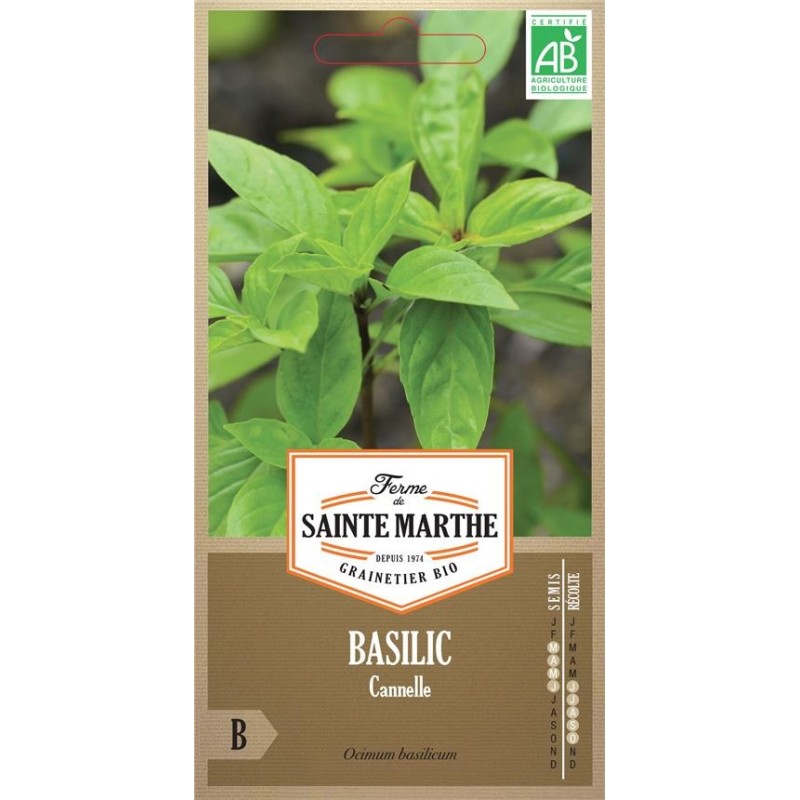 TOMATE Noire de Crimée AB  - Semences reproductibles bio